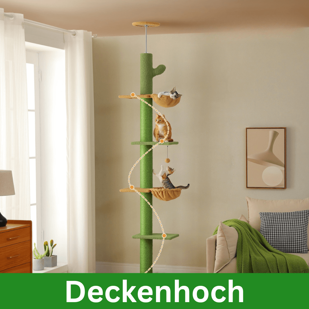KratzKaktus Kletterpfahl 3.0