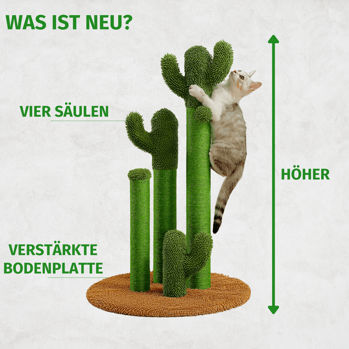 Der KratzKaktus 2.0