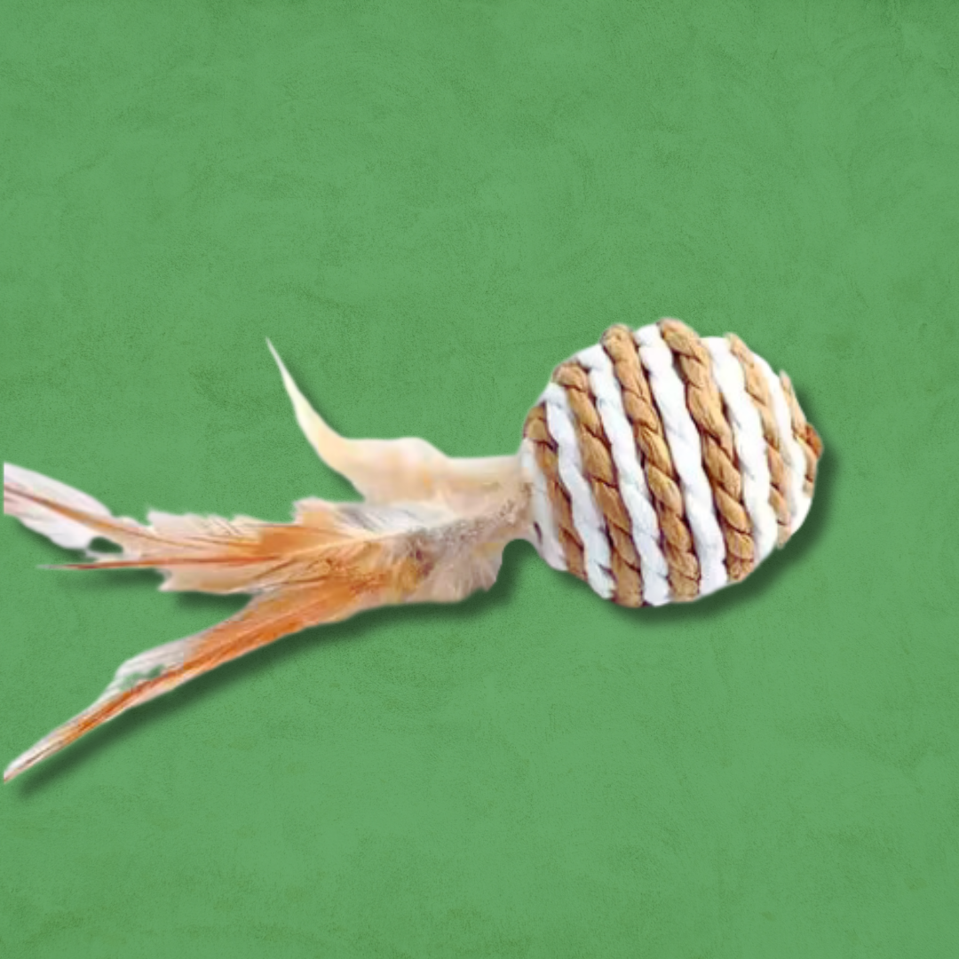Der Federball Fänger - Katzenangel