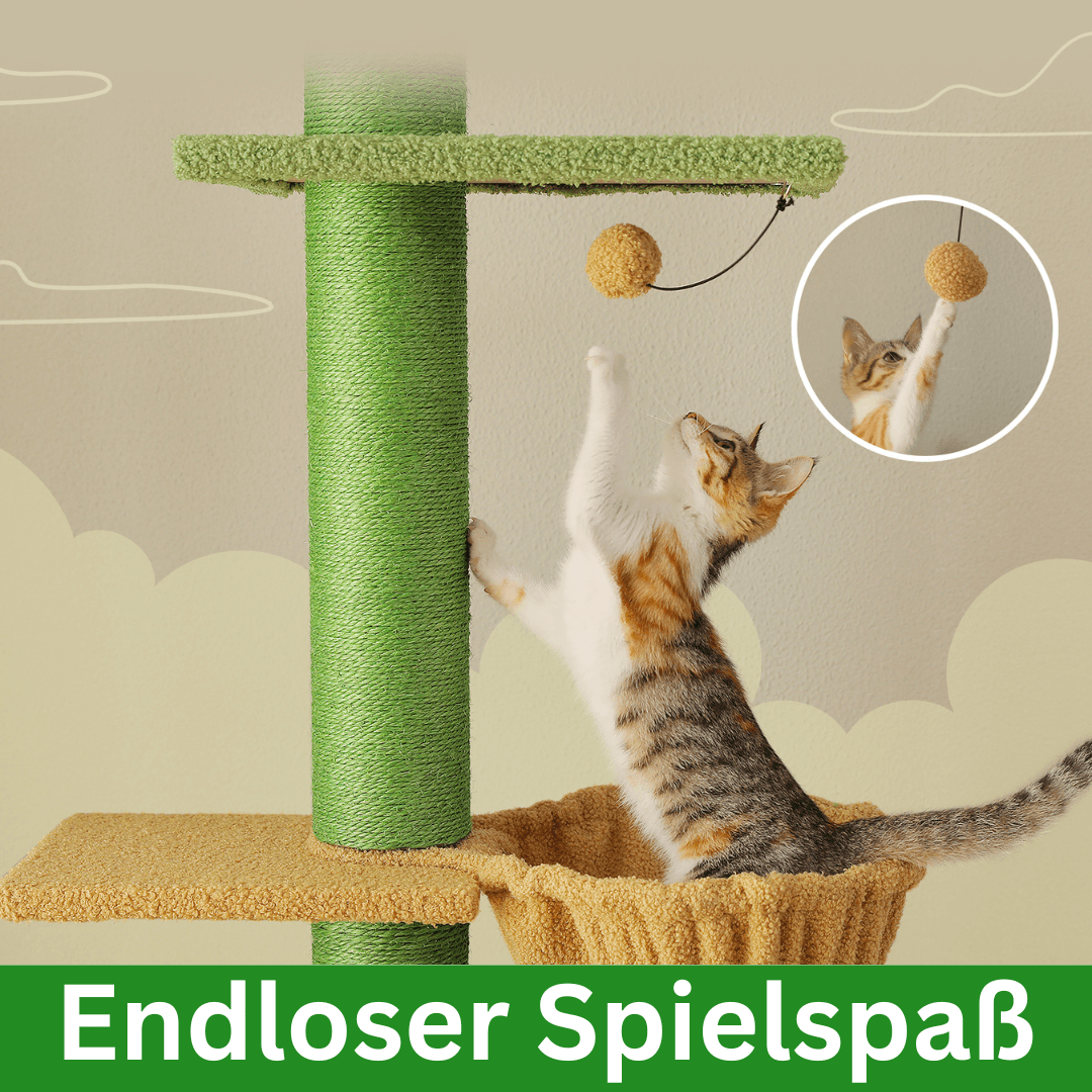 KratzKaktus Kletterpfahl 3.0