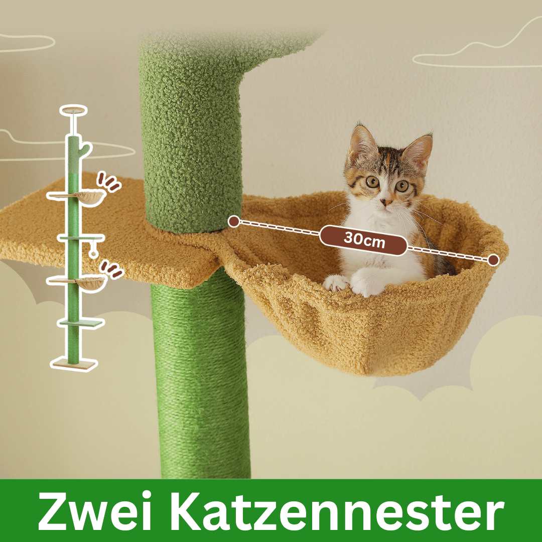 KratzKaktus Kletterpfahl 3.0