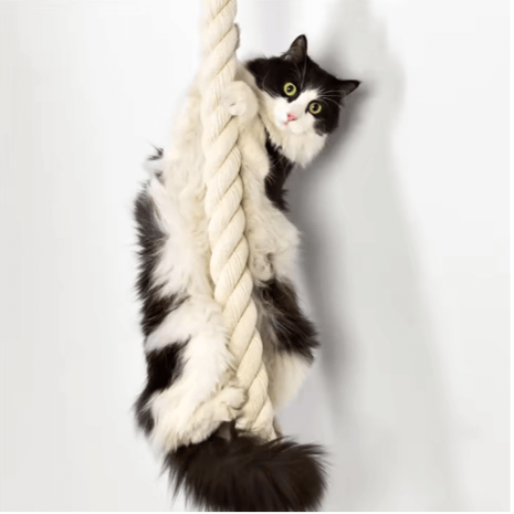Katzen Wandelemente