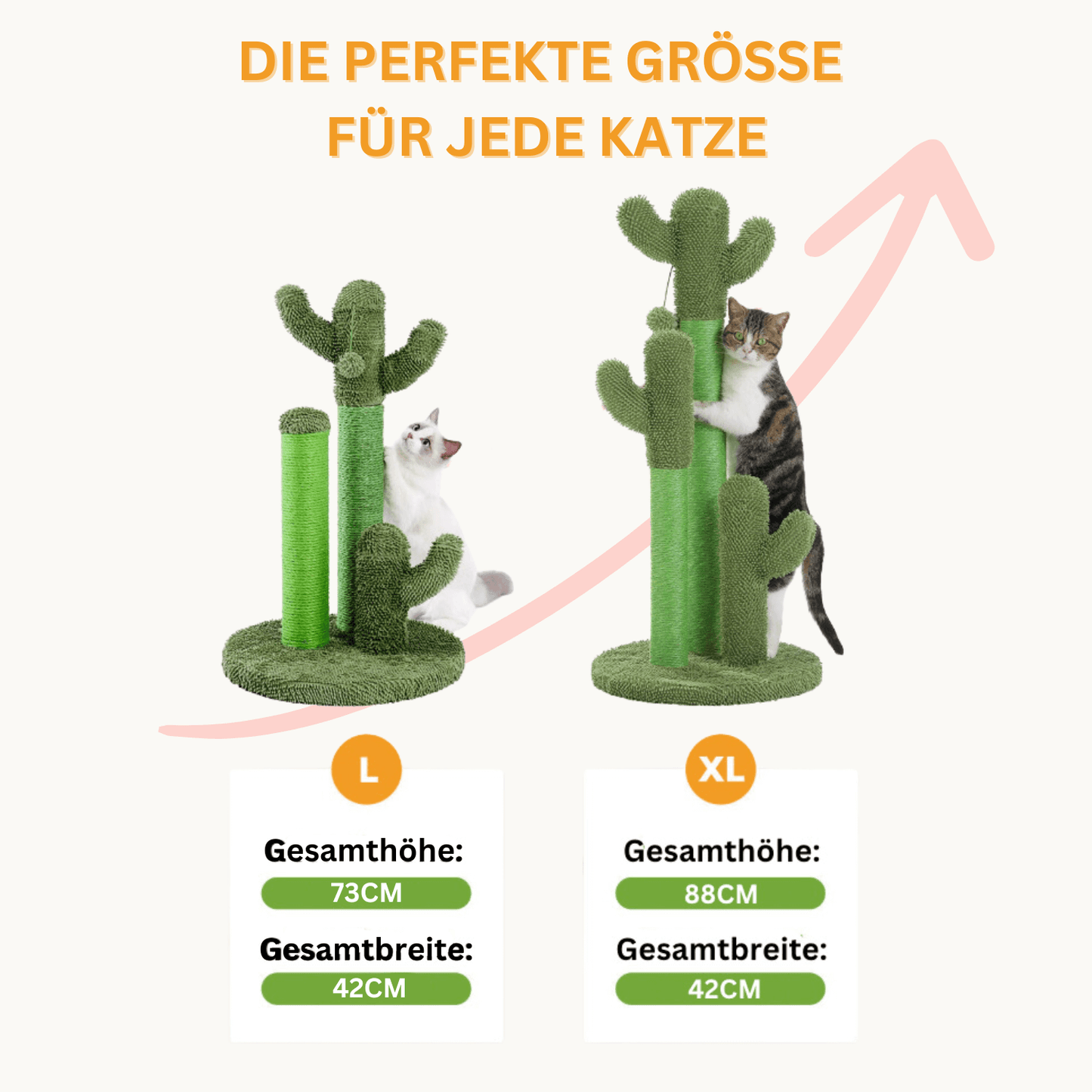 Der KratzKaktus