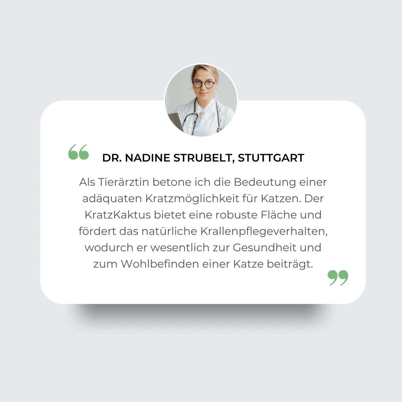 Der KratzKaktus 2.0