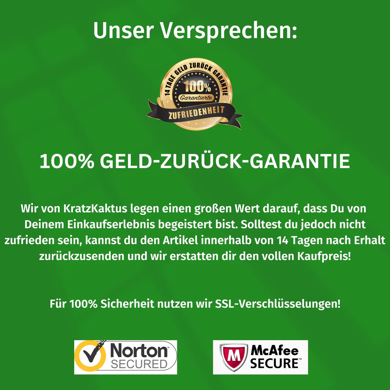 Der KratzKaktus 2.0