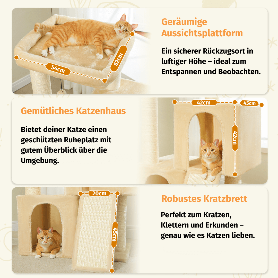 KratzKaktus LUMA