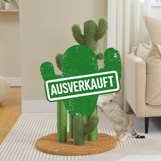 Der KratzKaktus 2.0
