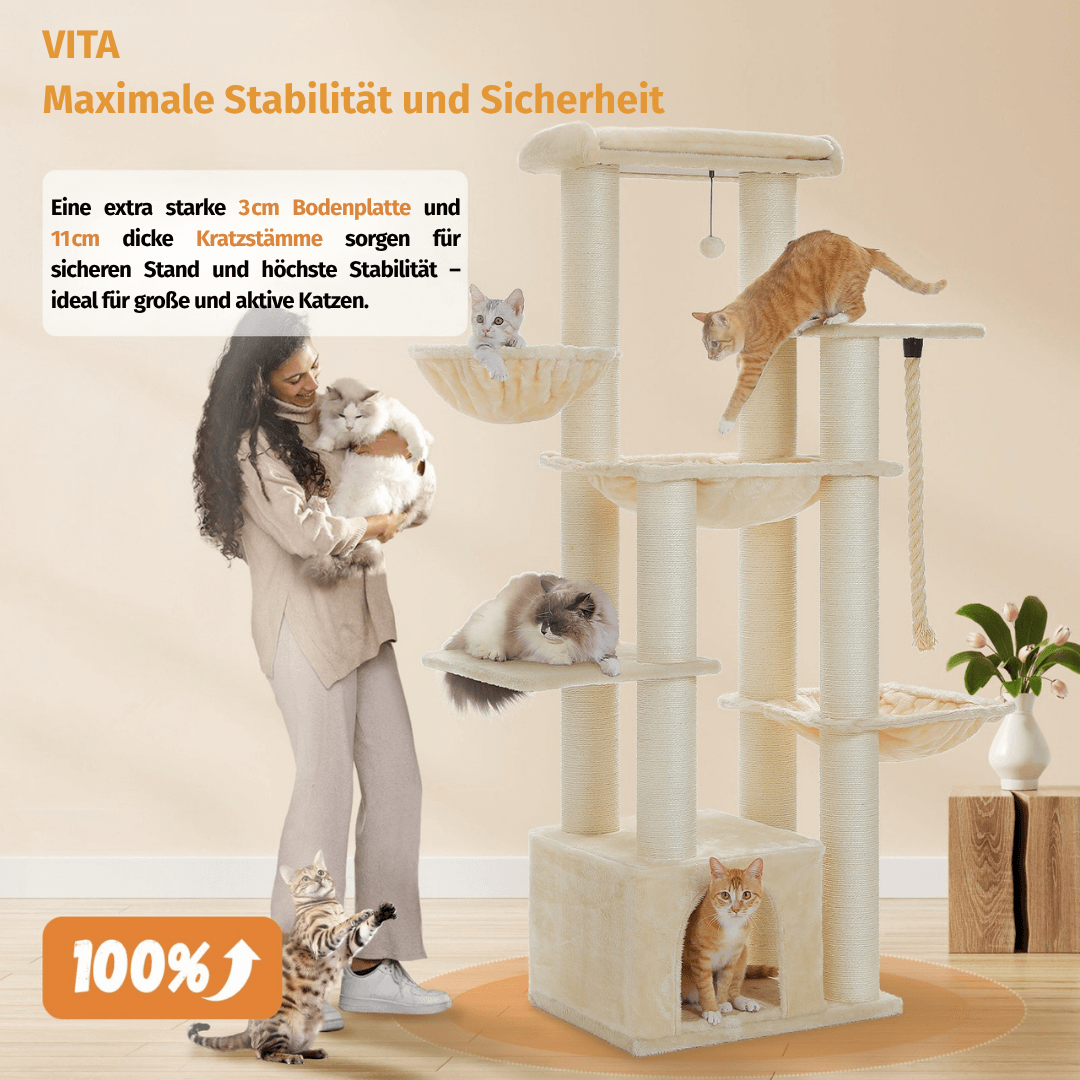 KratzKaktus VITA