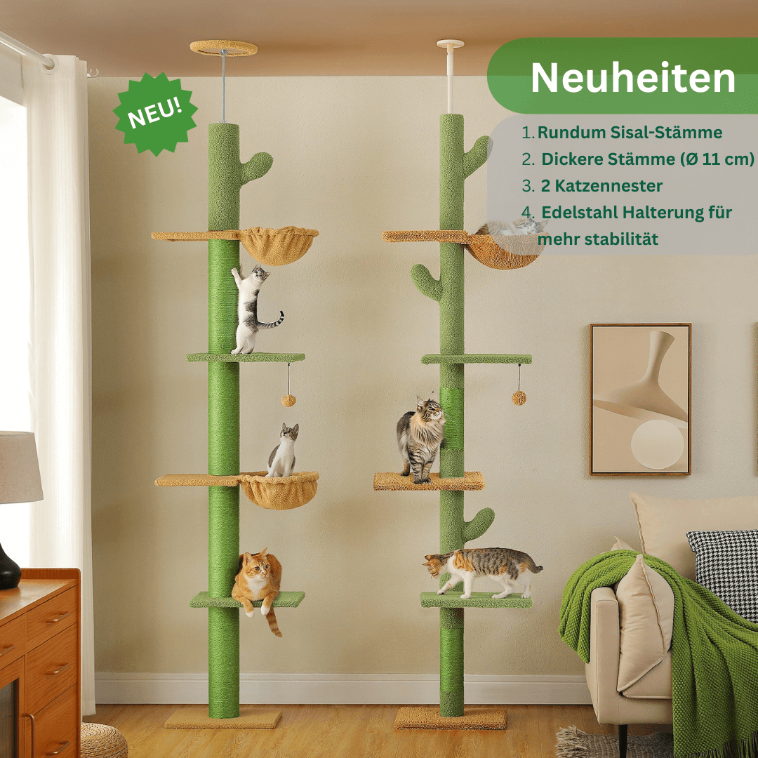 KratzKaktus Kletterpfahl 3.0